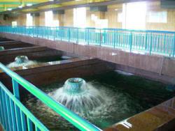 Дніпропетровськ обростає водонасосними станціями